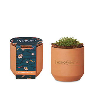 HH1-100899-236 - Tiny Terracotta Grow Kit Thank You Daisies - Terracotta Orange Brown